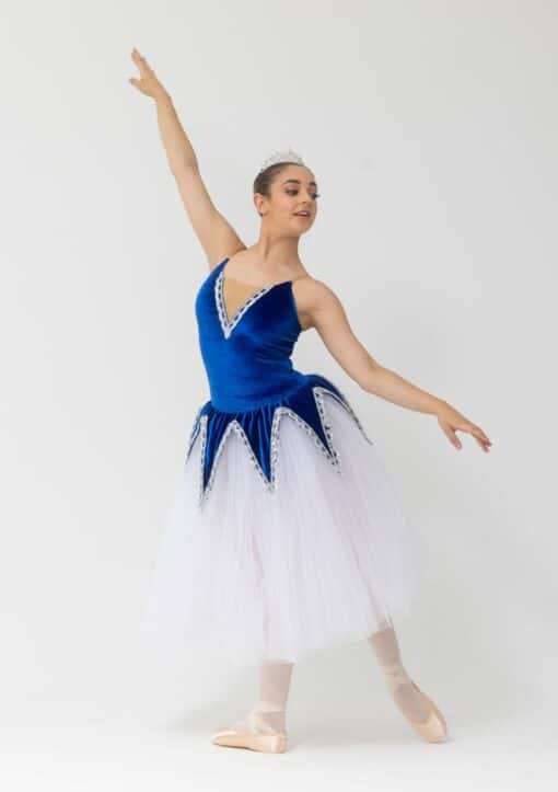 Luna Romantic Tutu Dress - Royal Blue - ADULT