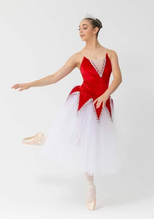 Luna Romantic Tutu Dress - Red - CHILD