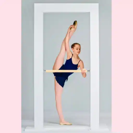 The Demi Barre - Image 2