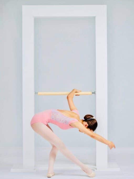 The Demi Barre - Image 3