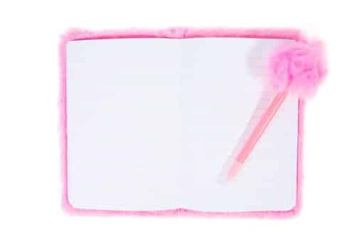 Fluffy Flamingo Notebook & Pen Set - Image 2