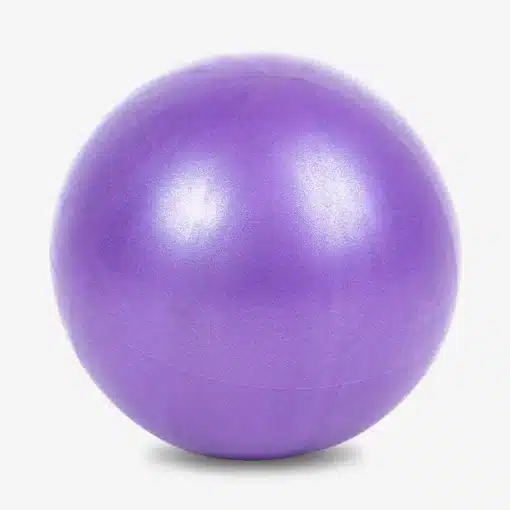 Small Exercise Ball - Purple - Image 2